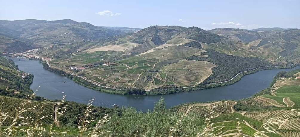 Picture 9 for Activity Private Douro Wine Tour