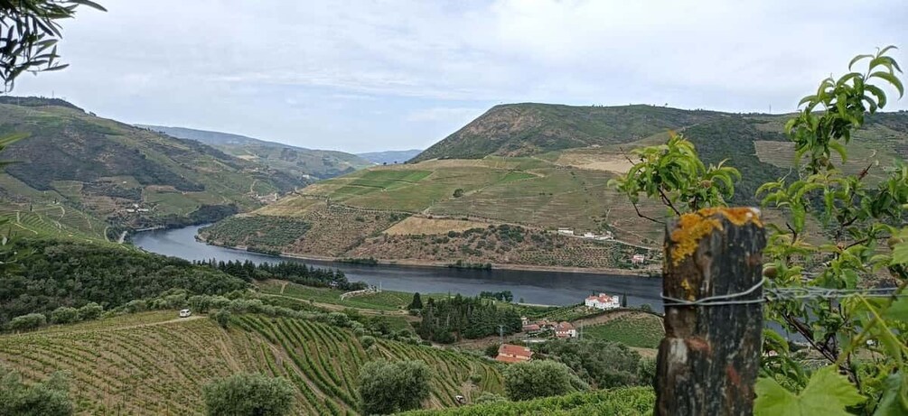 Picture 8 for Activity Private Douro Wine Tour