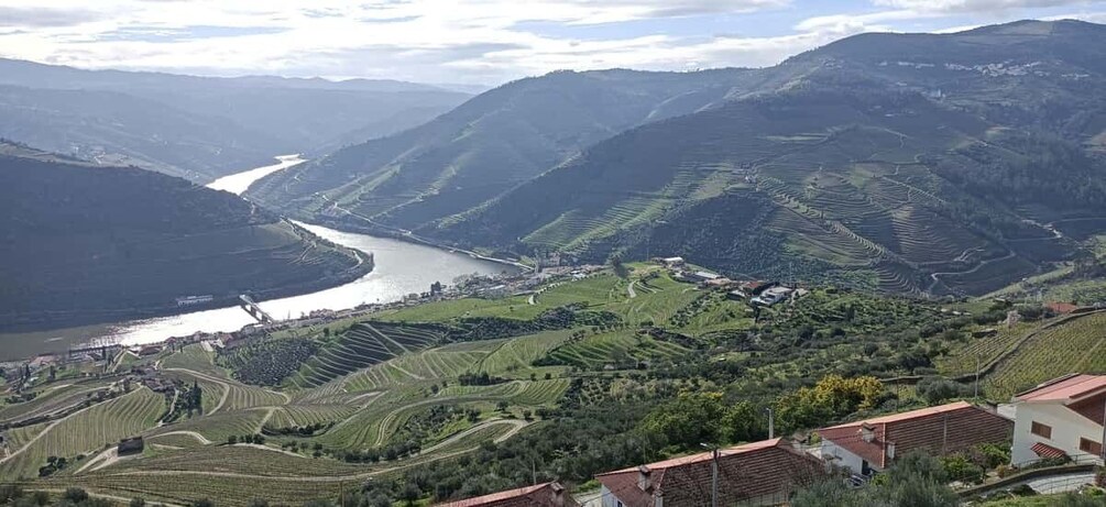 Picture 10 for Activity Private Douro Wine Tour