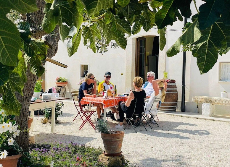 Picture 7 for Activity Bari: E-Bike Tour and Fresh Pasta Cooking Class in Masseria