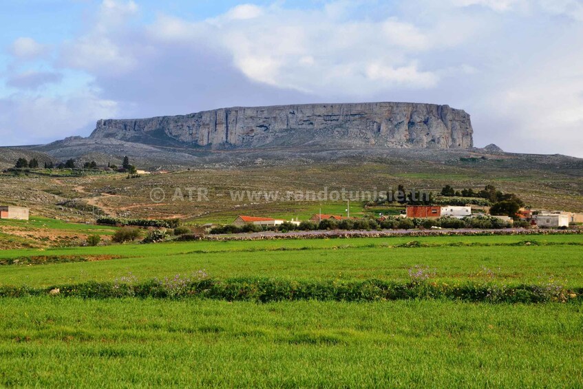 Picture 6 for Activity From Tunis: Day Trip to Kef & Jugurtha Tableland with Lunch