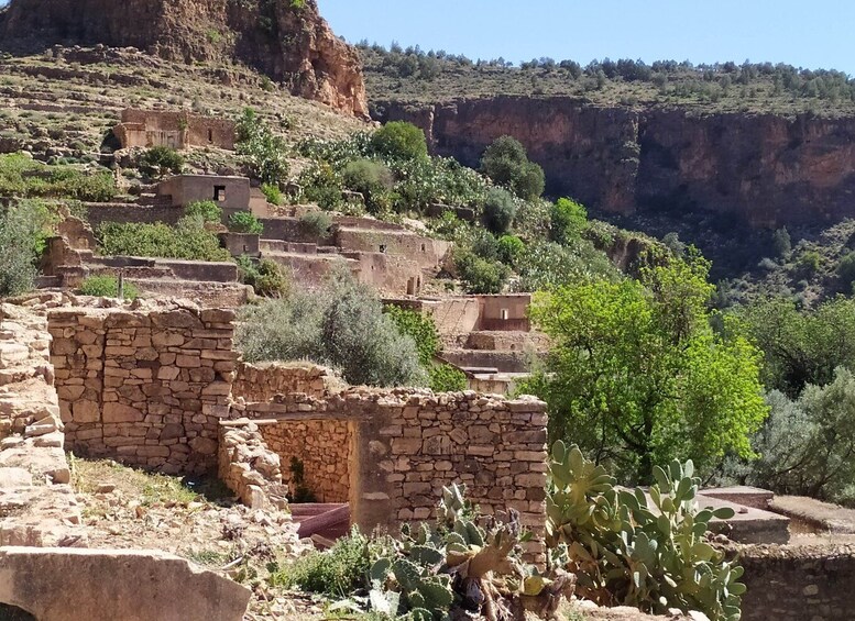 Picture 5 for Activity From Tunis: Day Trip to Kef & Jugurtha Tableland with Lunch