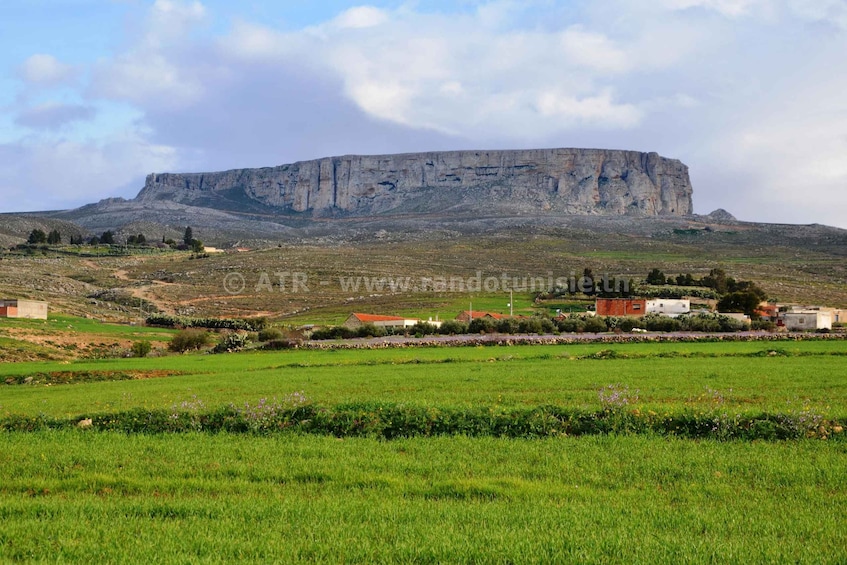 Picture 6 for Activity From Tunis: Day Trip to Kef & Jugurtha Tableland with Lunch