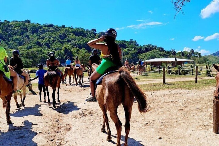 quad bike, Zipline, Horseback Swim and Luminous Lagoon Experience