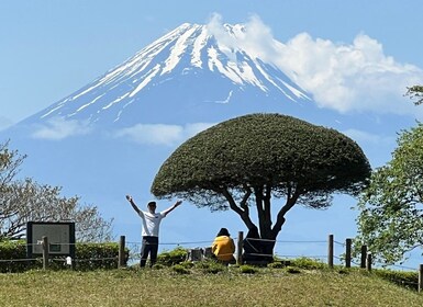 Hakone Hachiri: Wanderung auf dem alten Tokaido Highway