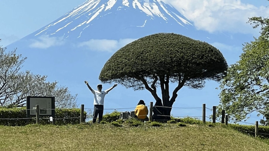 Hakone Hachiri: Old Tokaido Highway Hiking Tour
