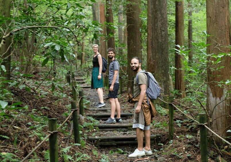 Picture 1 for Activity Hakone Hachiri: Old Tokaido Highway Hiking Tour