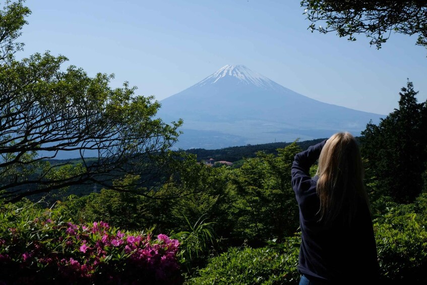 Picture 19 for Activity Hakone Hachiri: Old Tokaido Highway Hiking Tour