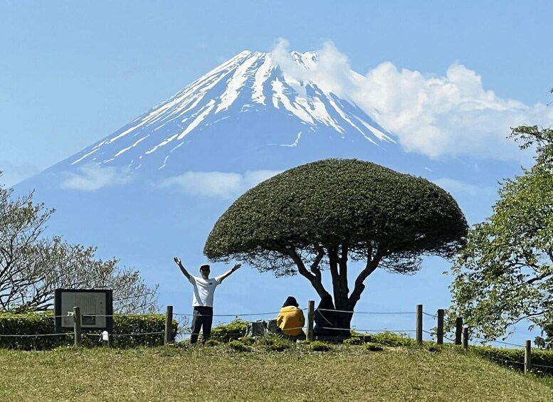 Hakone Hachiri: Old Tokaido Highway Hiking Tour