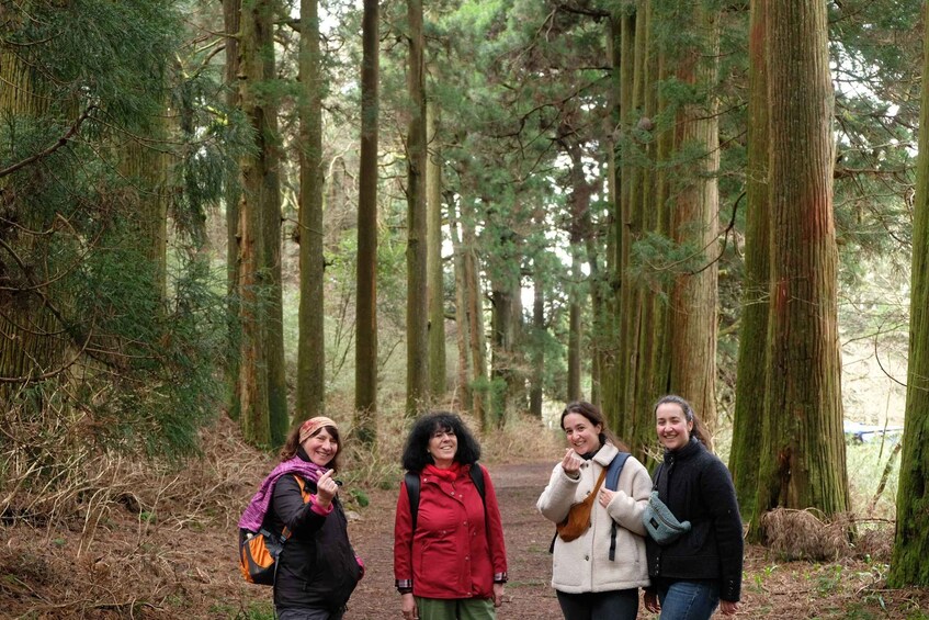 Picture 15 for Activity Hakone Hachiri: Old Tokaido Highway Hiking Tour