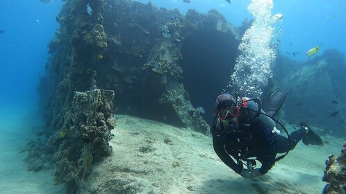 Oahu: Try Scuba Diving from Shore