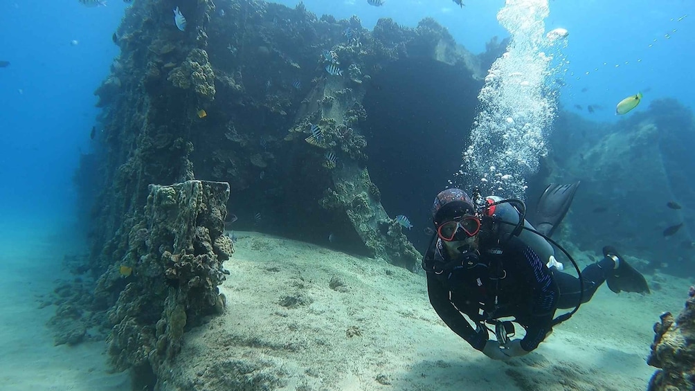 Oahu: Try Scuba Diving from Shore