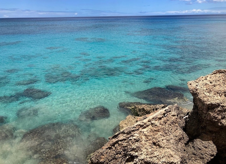 Picture 8 for Activity Oahu: Try Scuba Diving from Shore