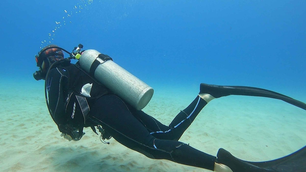 Picture 4 for Activity Oahu: Try Scuba Diving from Shore