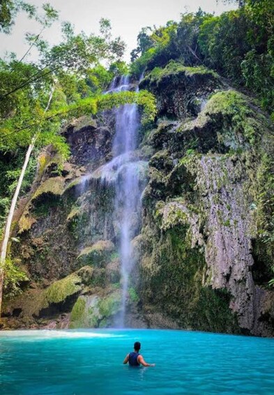 Picture 1 for Activity Oslob: Whale shark swimming, Tumalog Falls, Sumilon Sandbar