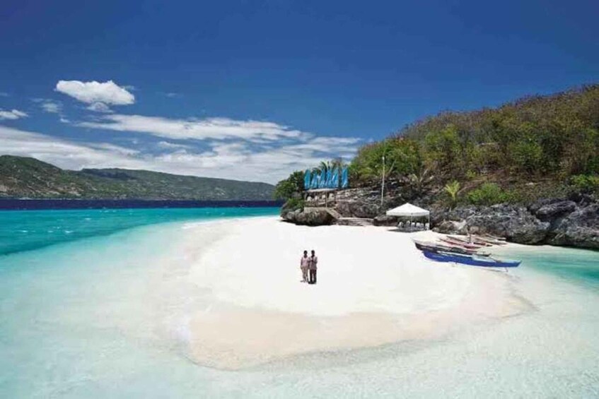 Picture 2 for Activity Oslob: Whale shark swimming, Tumalog Falls, Sumilon Sandbar