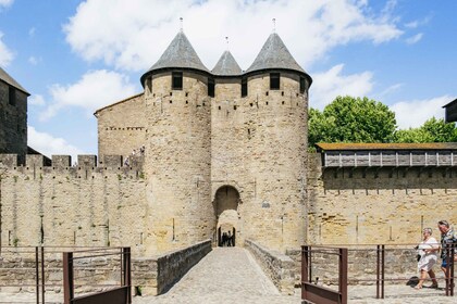 Toulouse: Carcassonne Day Trip by Coach with Comtal Castel