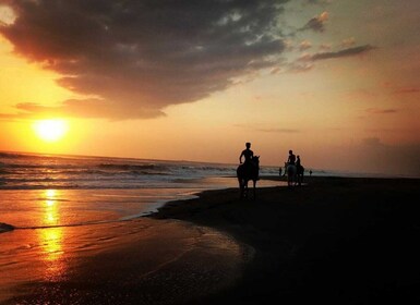 Langudu: paseos a caballo por la playa y los arrozales