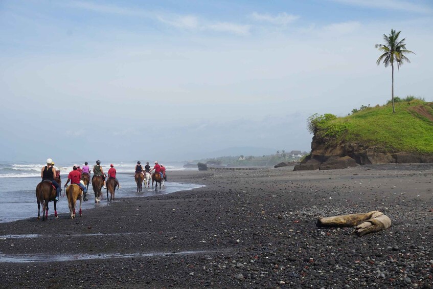 Picture 4 for Activity Langudu: Horse Riding on the Beach and in the Rice Fields