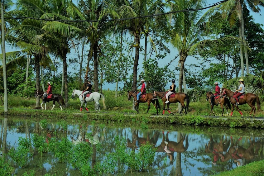Picture 2 for Activity Langudu: Horse Riding on the Beach and in the Rice Fields