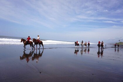 Langudu: Horse Riding on the Beach and in the Rice Fields