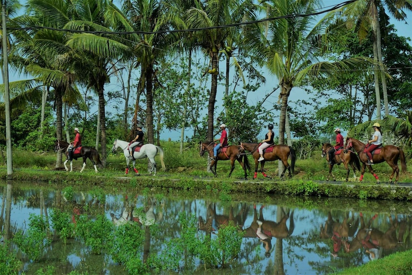 Picture 2 for Activity Langudu: Horse Riding on the Beach and in the Rice Fields