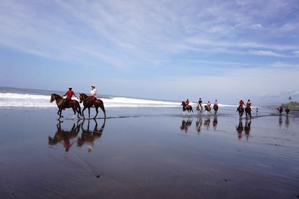 兰古杜在海滩和稻田骑马
