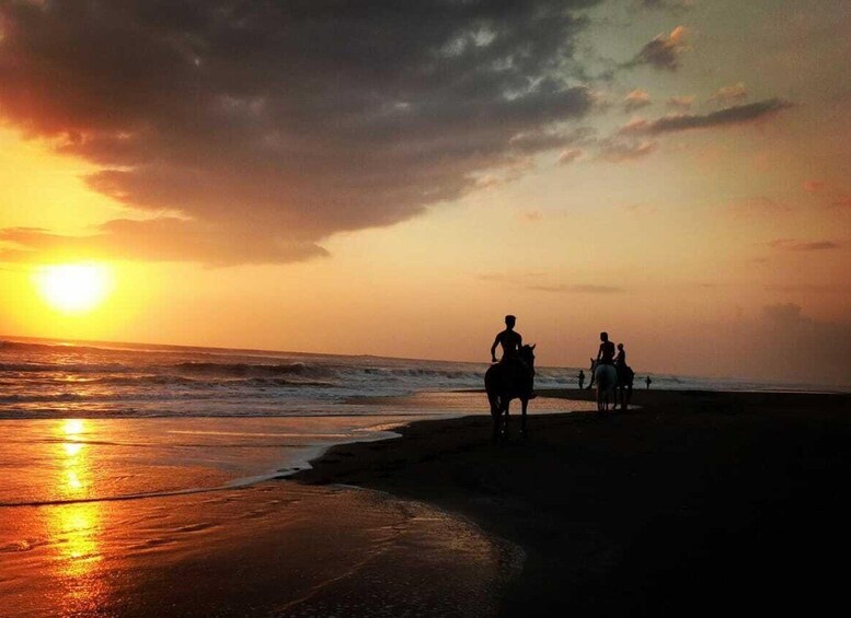 Picture 1 for Activity Langudu: Horse Riding on the Beach and in the Rice Fields