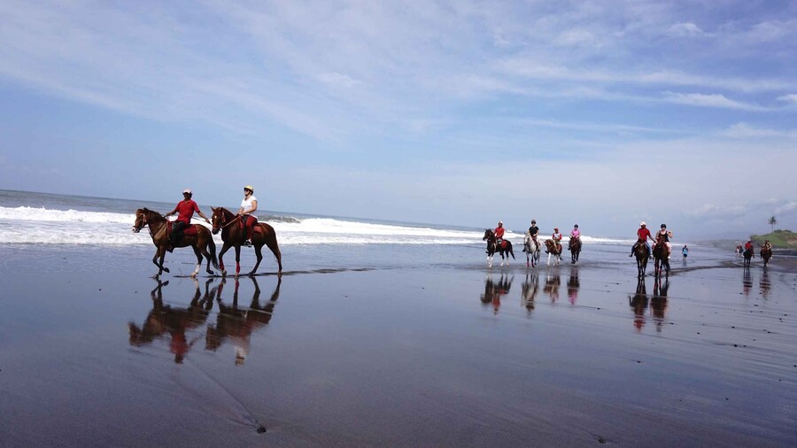 Langudu: Horse Riding on the Beach and in the Rice Fields