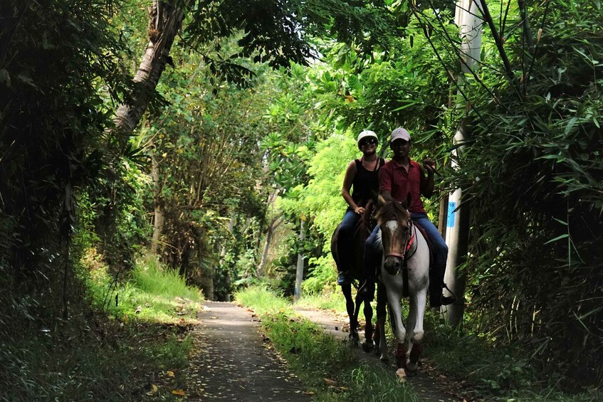 Picture 5 for Activity Langudu: Horse Riding on the Beach and in the Rice Fields