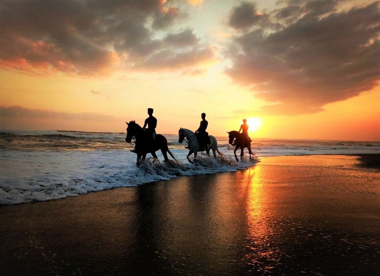 Picture 3 for Activity Langudu: Horse Riding on the Beach and in the Rice Fields