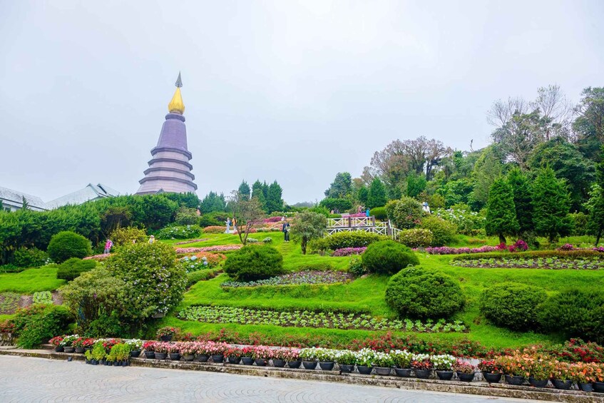 Picture 11 for Activity Chiang Mai: Doi Inthanon, Waterfalls, & Tribal Villages Tour