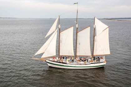 Charleston: Charleston: Schooner Sailing Harbor Tour & Dolphin Watch