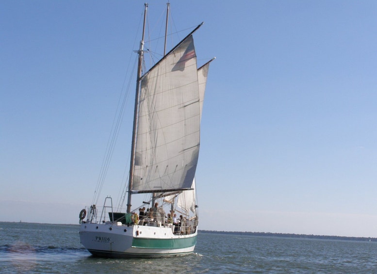 Picture 3 for Activity Charleston: Schooner Sailing Harbor Tour & Dolphin Watch