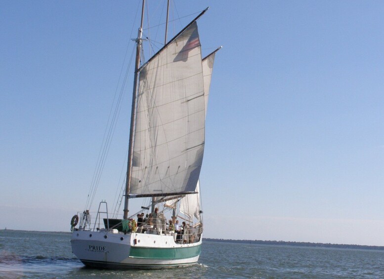 Picture 3 for Activity Charleston: Schooner Sailing Harbor Tour & Dolphin Watch