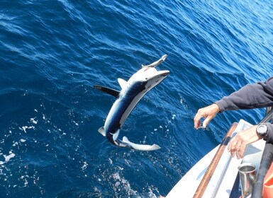 Desde San Leone: experiencia privada de pesca de atún rojo