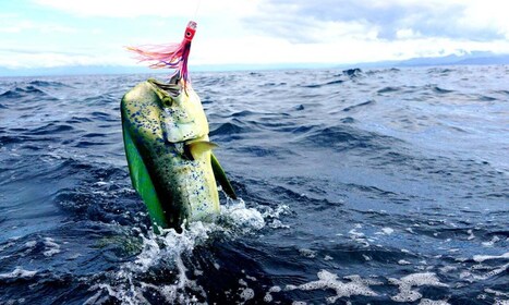 From San Leone: Private Bluefin Tuna Fishing Experience