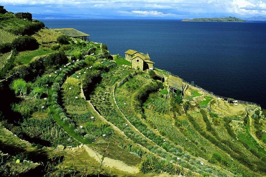 Picture 7 for Activity Catamaran on Lake Titicaca and visit to the Isla del Sol