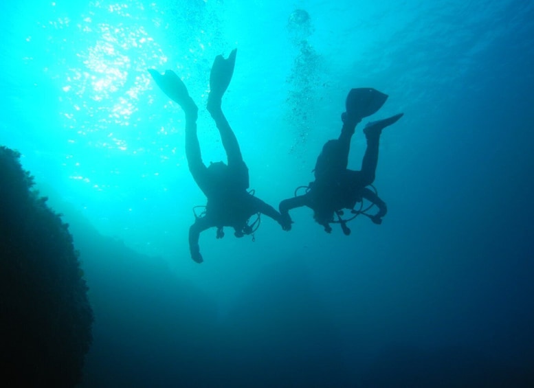 Picture 3 for Activity Tossa de Mar: Mar Menuda Dive Trip for Certified Divers