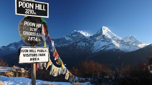 加德满都：7 天 Ghorepani Poonhill 和 Ghandruk 私人徒步旅行