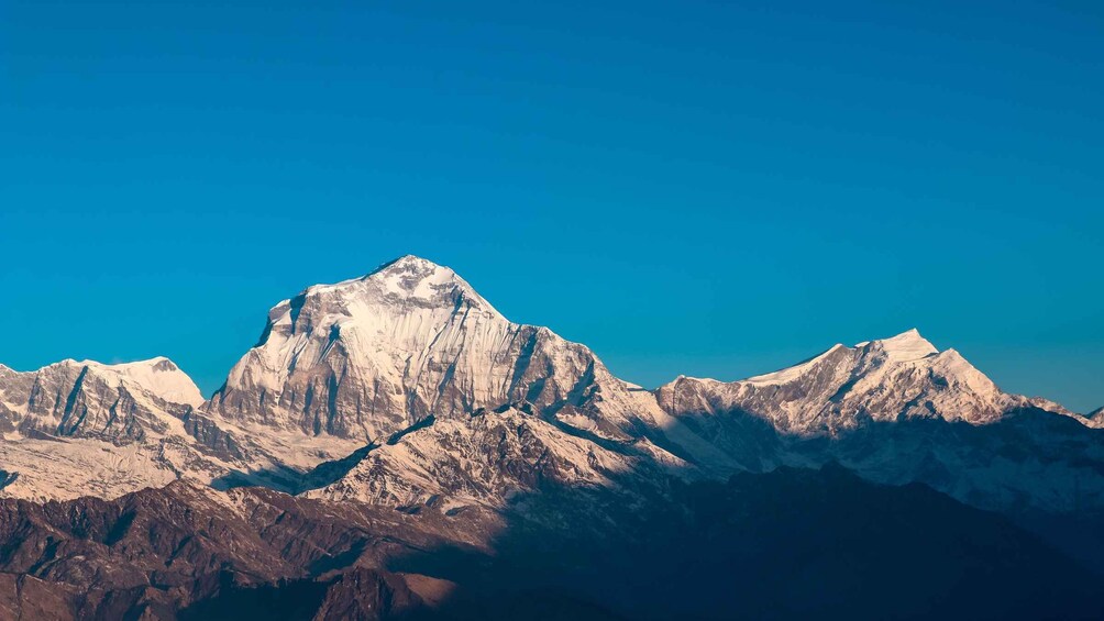Picture 6 for Activity Kathmandu: 7 Day Ghorepani Poonhill & Ghandruk Private Trek
