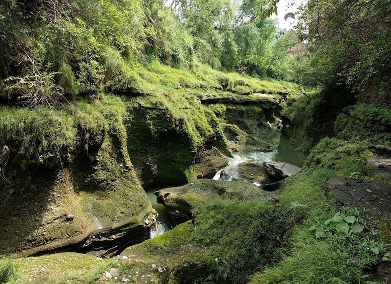 Picture 8 for Activity Kathmandu: 7 Day Ghorepani Poonhill & Ghandruk Private Trek
