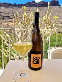 Gran Canaria: tasting wine & local cheese