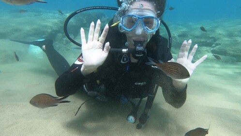 Heraklion: Intro Dive for beginners with a Padi Instructor