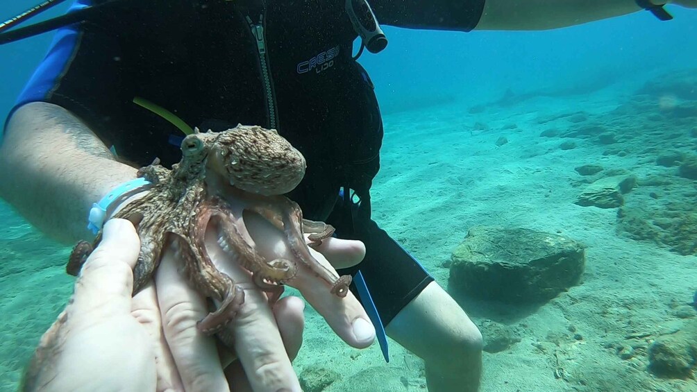 Picture 7 for Activity Heraklion: Beginner Scuba Diving Lesson with PADI Instructor