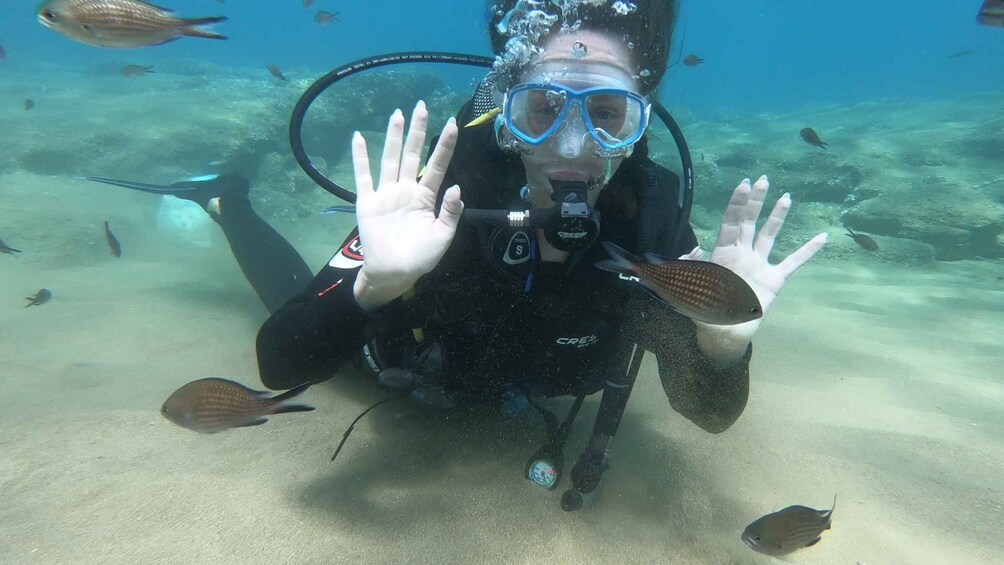 Picture 3 for Activity Heraklion: Beginner Scuba Diving Lesson with PADI Instructor