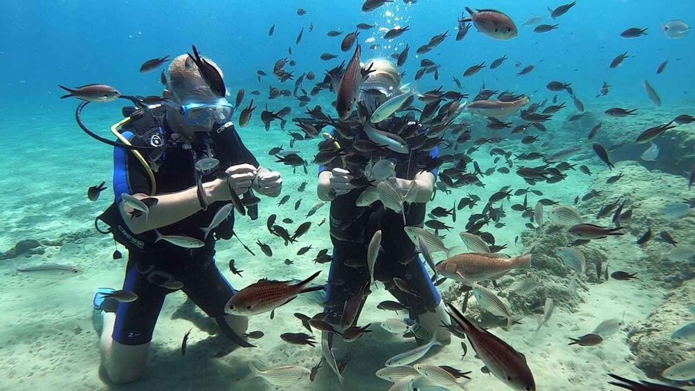 Picture 15 for Activity Heraklion: Beginner Scuba Diving Lesson with PADI Instructor