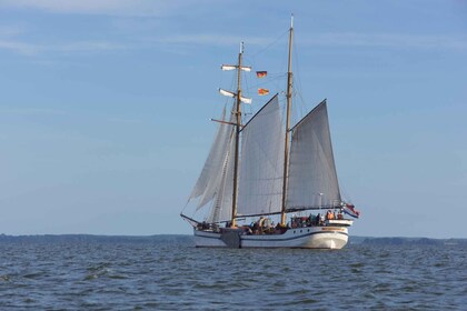 Usedom: Sailing tour on an exclusive tall ship Wednesday