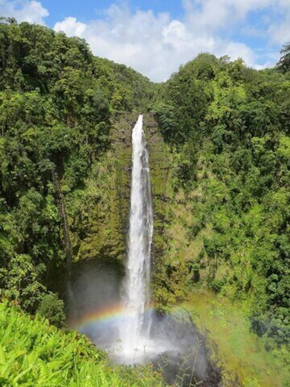Private Tour of Big Island Waterfall Wonders