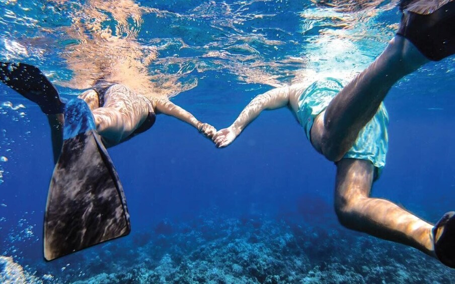 Picture 6 for Activity Maui: Semi-Private 5HR Eco-Raft Lanai Snorkel & Dolphin Tour